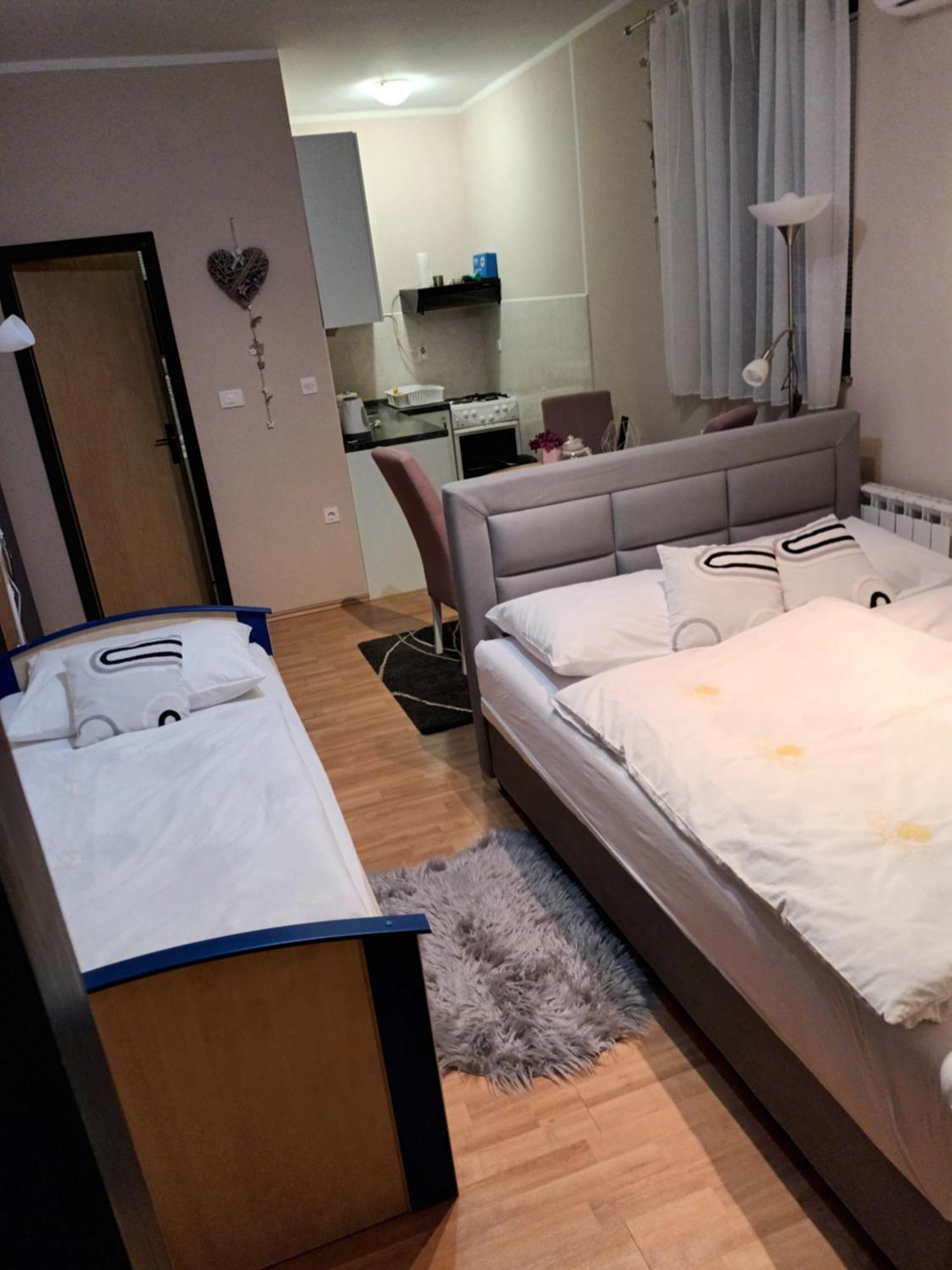 Studio Apartman Salopek Ogulin Exterior foto